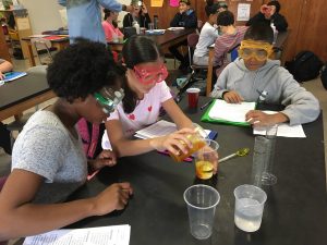 students doing a lab experiment